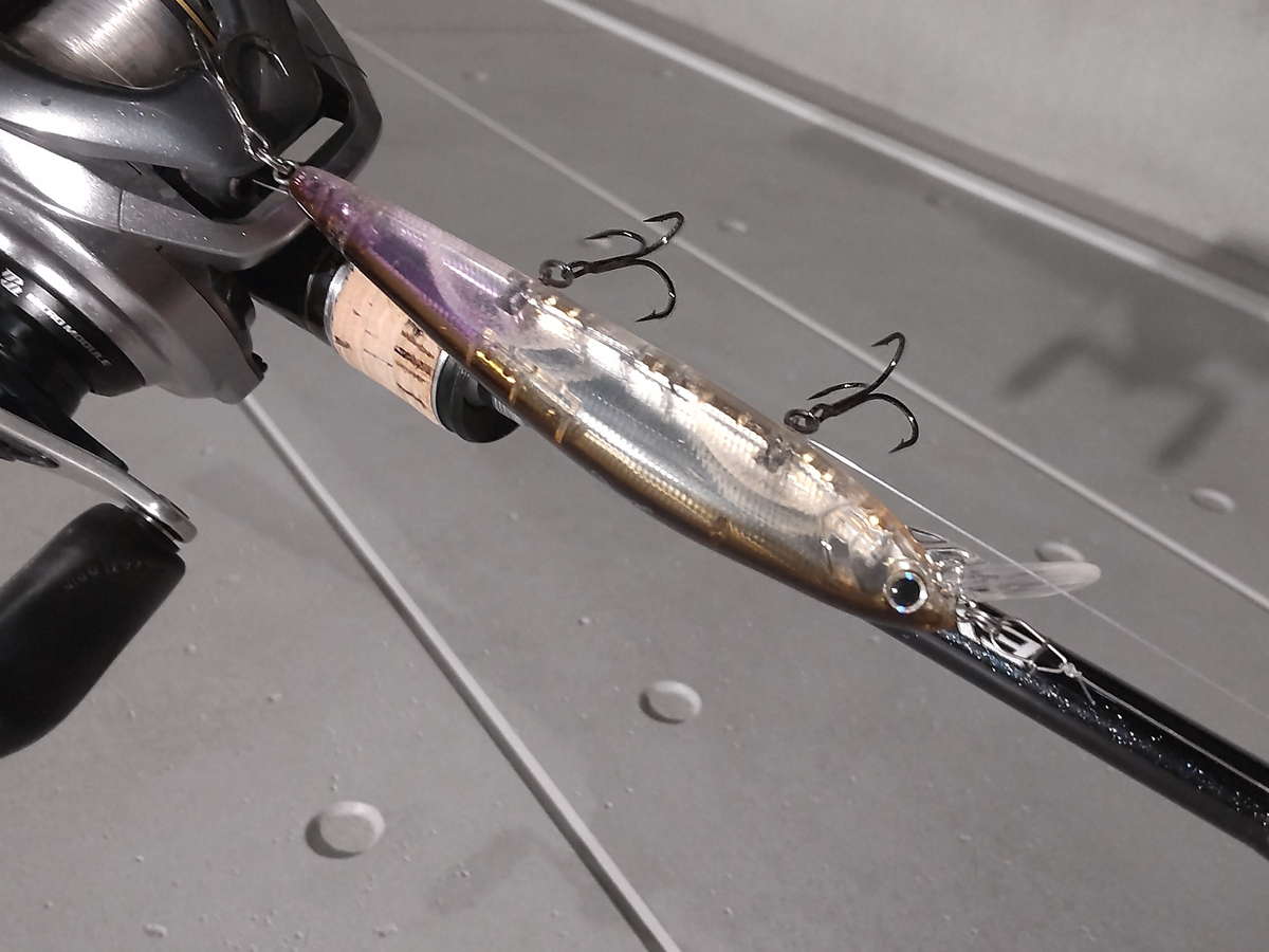 亀の手　釣り用　5kg 亀の手 釣り用 5kg 亀の手 釣り用 5kg 楽天市場】カメノテ 亀